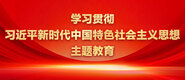 美女被男人捅小穴学习贯彻习近平新时代中国特色社会主义思想主题教育_fororder_ad-371X160(2)